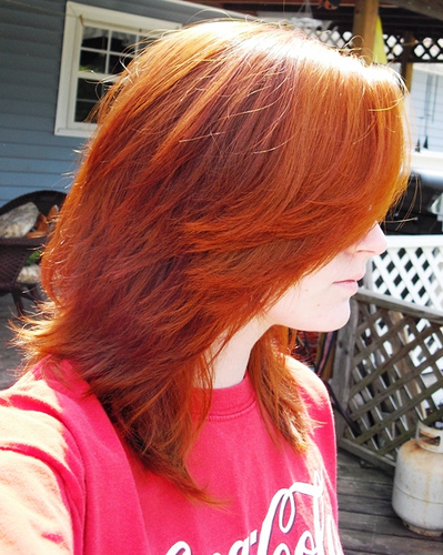 Can I Get This Colour On My Head Hair Henna Ginger Ask Metafilter