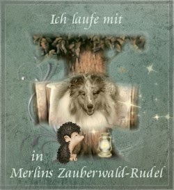 ich lauf bei Merlin mit