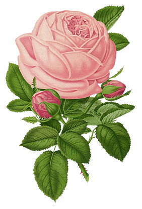 Gambar Kumpulan Gambar Barbie Jpg Png Gif Kartun Koleksi Format di