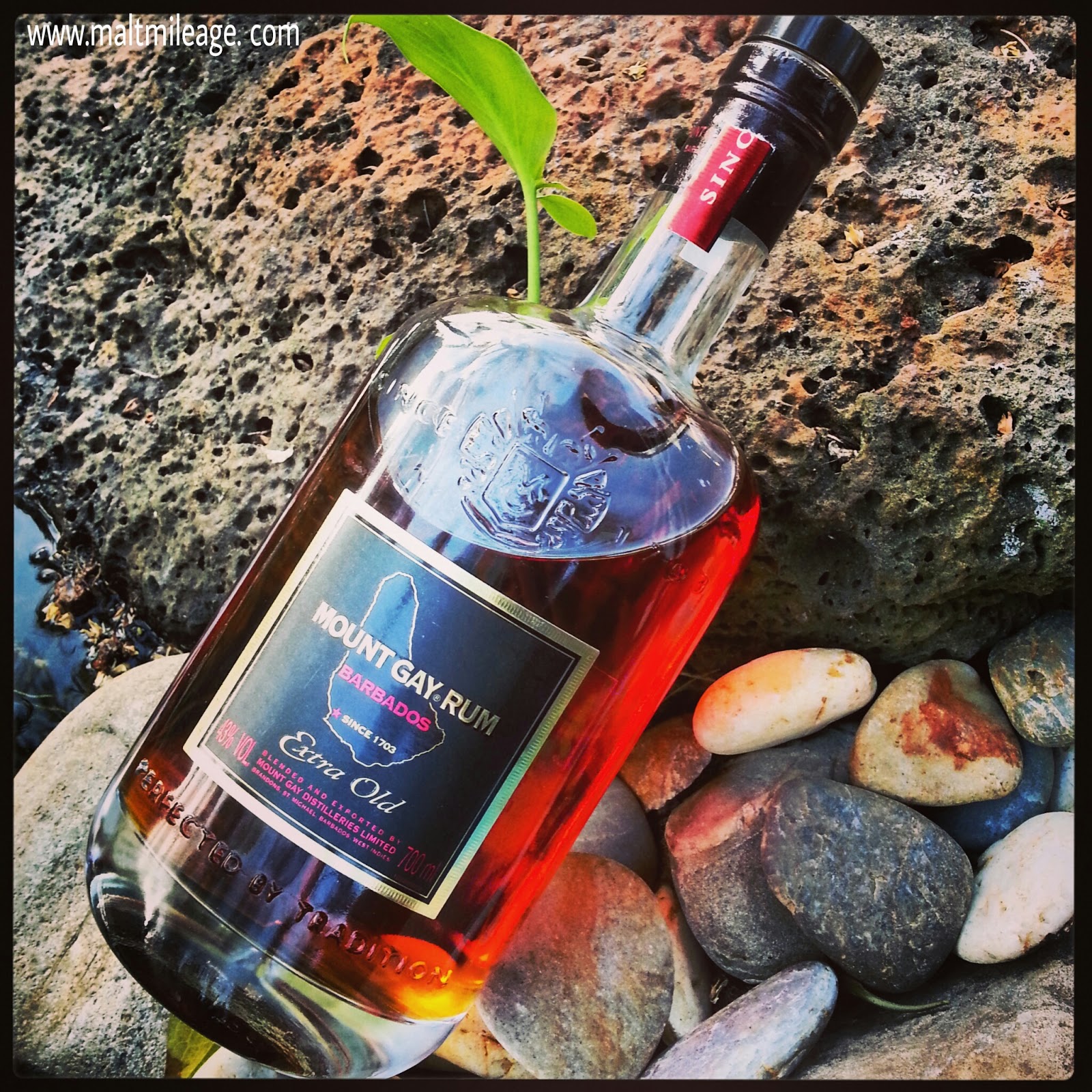 Best Barbados Rum Tour Best Barbados Rum Tour