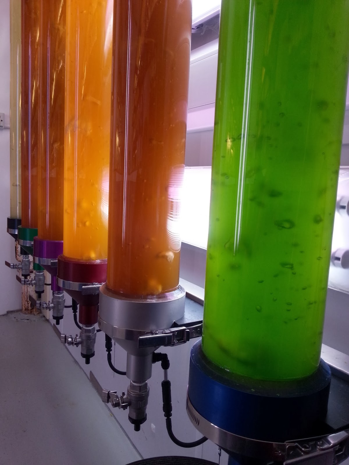 The Aquaculturists 25/02/14 Marine laboratory introduces elegant