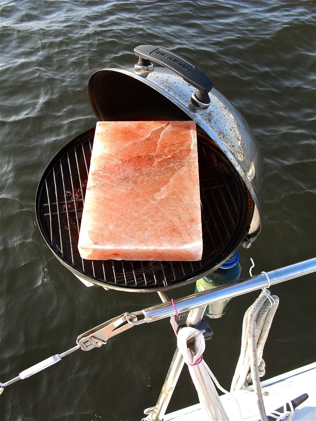 Charlesmopolitan Shrimp on a Salt Block