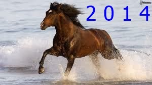 anno cavallo