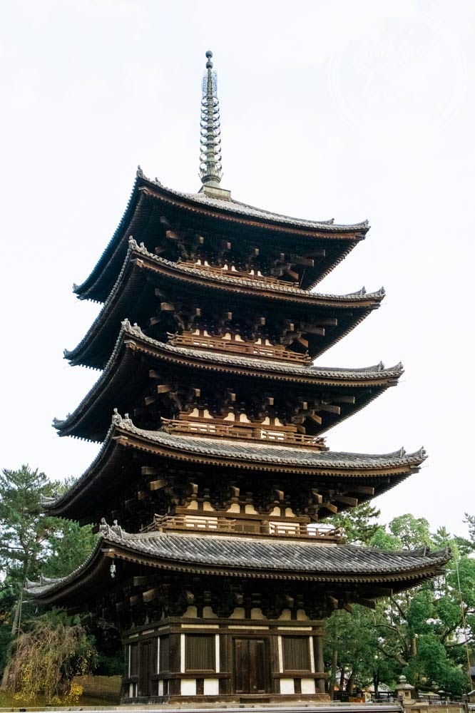 Kofukuji pagoda (五重塔)