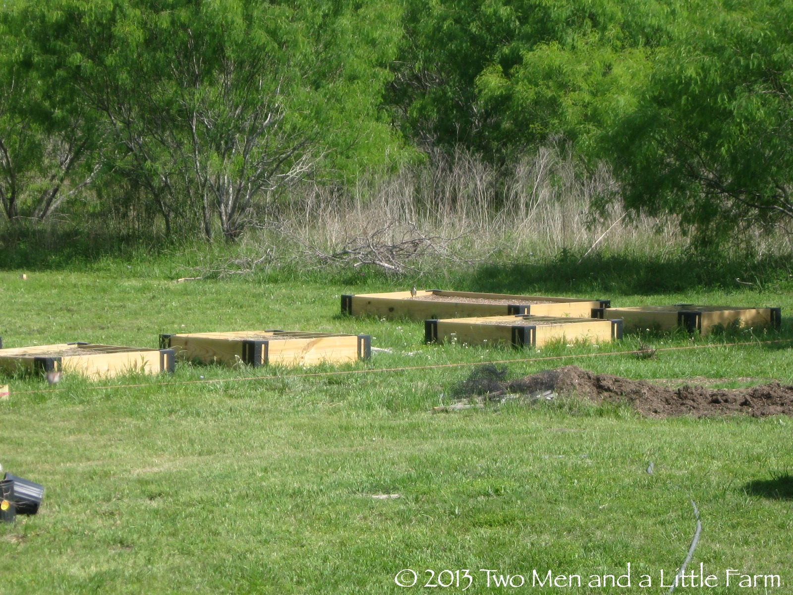 Two Men and a Little Farm: RAISED BED GARDEN FENCE UNVEILING