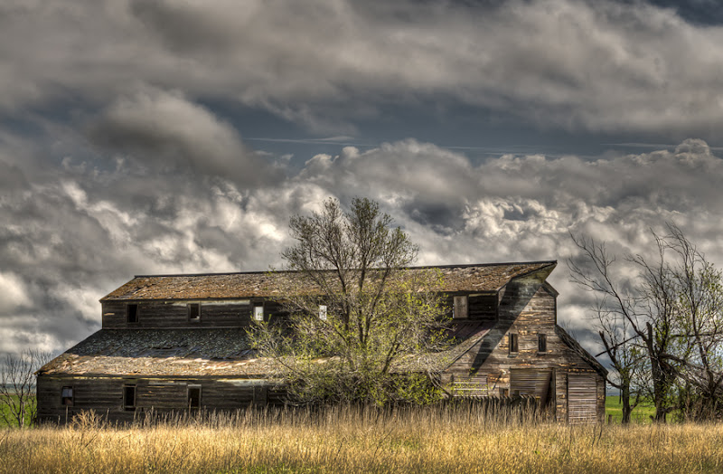Dakotagraph Rustic barns