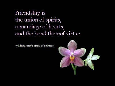 friendship and love quotes
