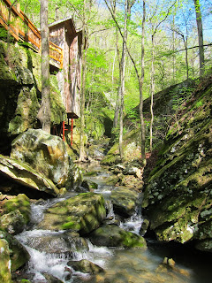 Expeditions By Tricia April 2015