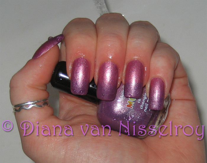 D.I.A.N.A. juli 2011