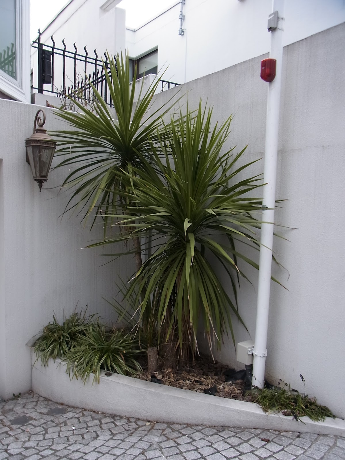 Landscape House Official Blog