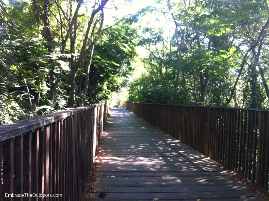 Embrace the Outdoors Los Gatos Creek Trail