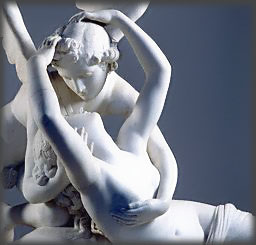 cercasi anima gemella