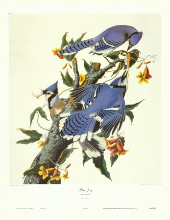 John James Audubon,