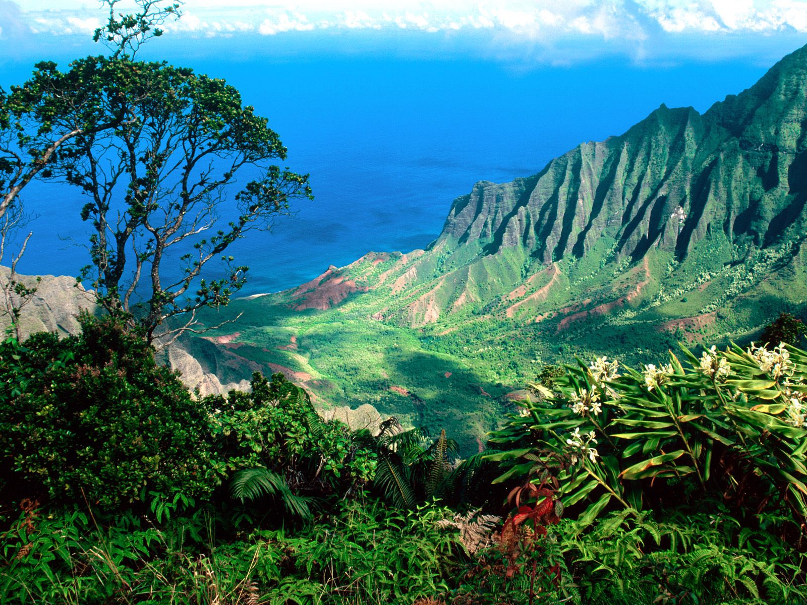 Hawaii:Choice Your Holiday