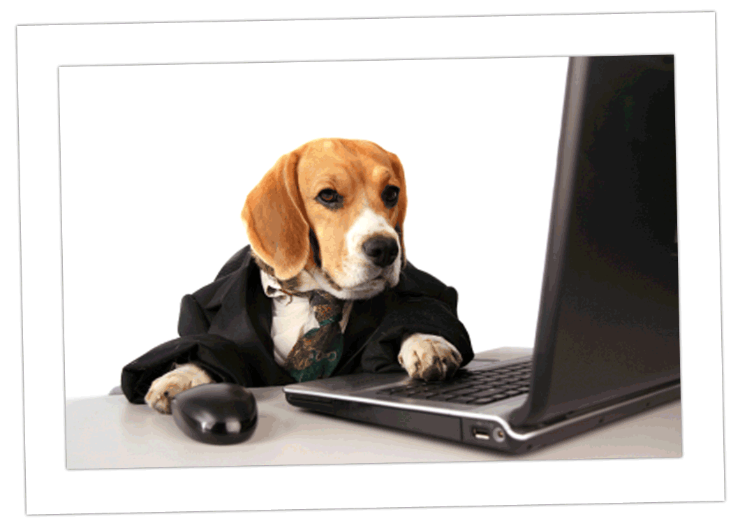 Colours Of Life Latest Wallpapers For Desk Top Back Ground