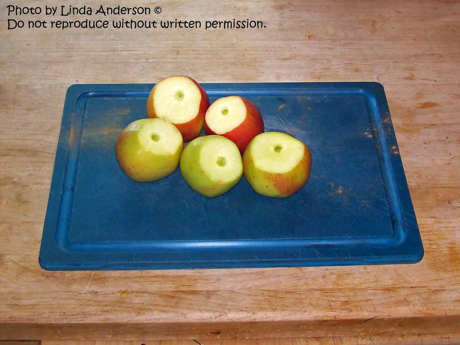 Dehydrating Way Beyond Jerky Mandolin Cross Cut Apples