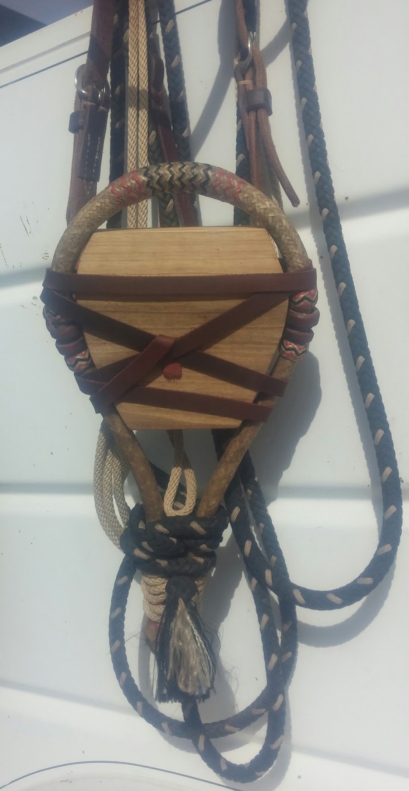 Functional Horsemanship Fit and Placement of the Bosal