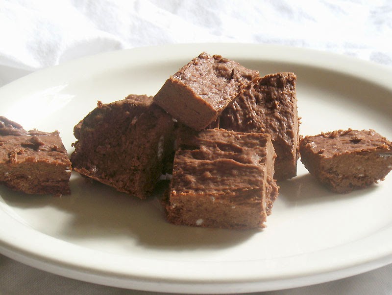 NoBake Coconut Oil Fudge Lisa's Kitchen Vegetarian Recipes