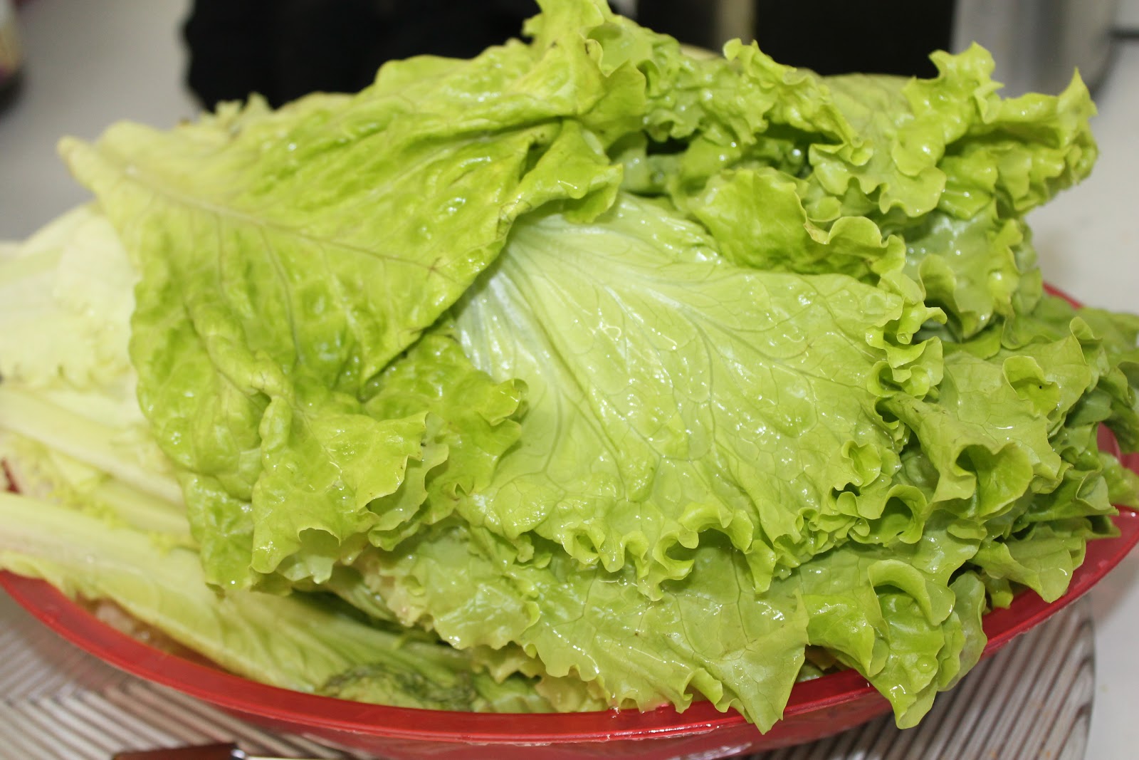 Lettuce Juicing at Paul Bow blog