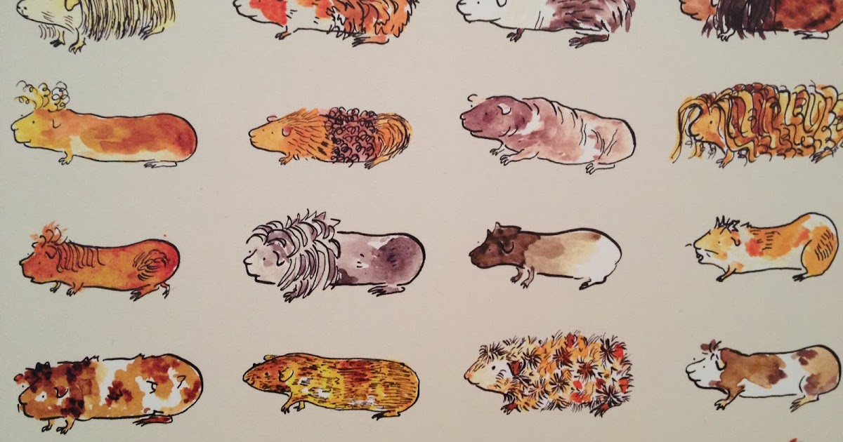 Art in Cambridge MA Children's Book Illustration Degree Show 2014