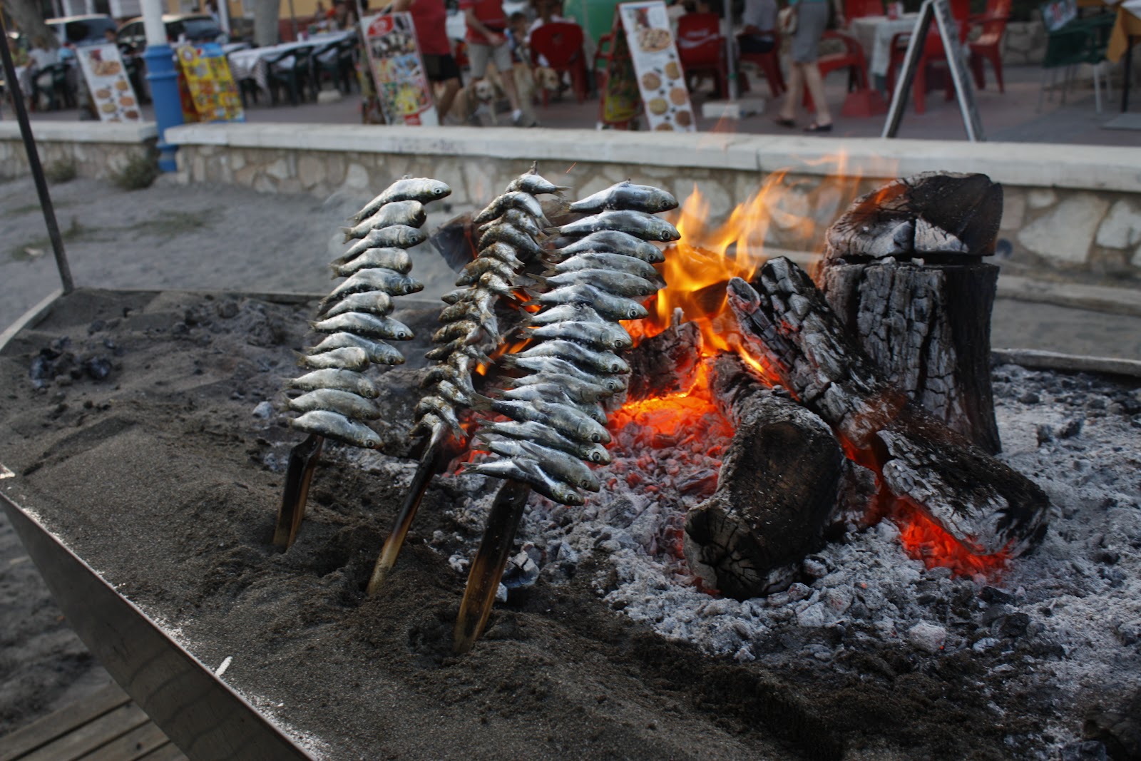 Redondo Beach Sardines