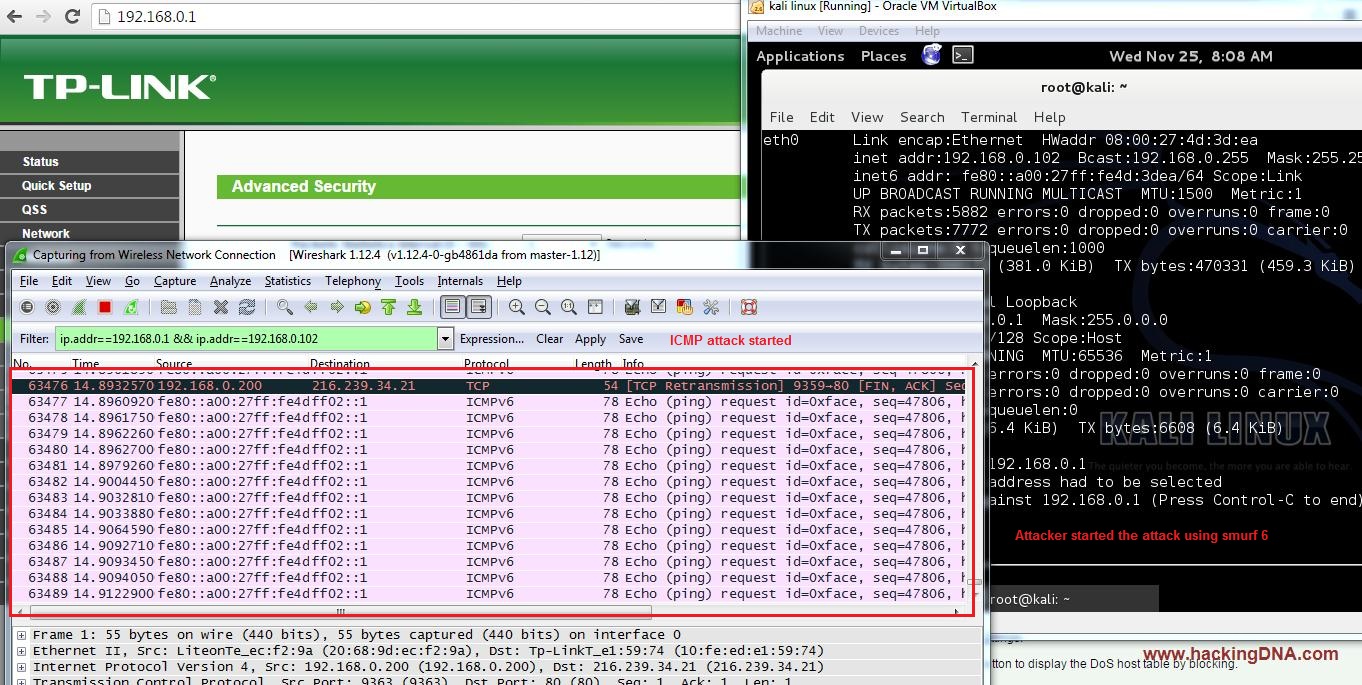 HackingDNA Router Testing