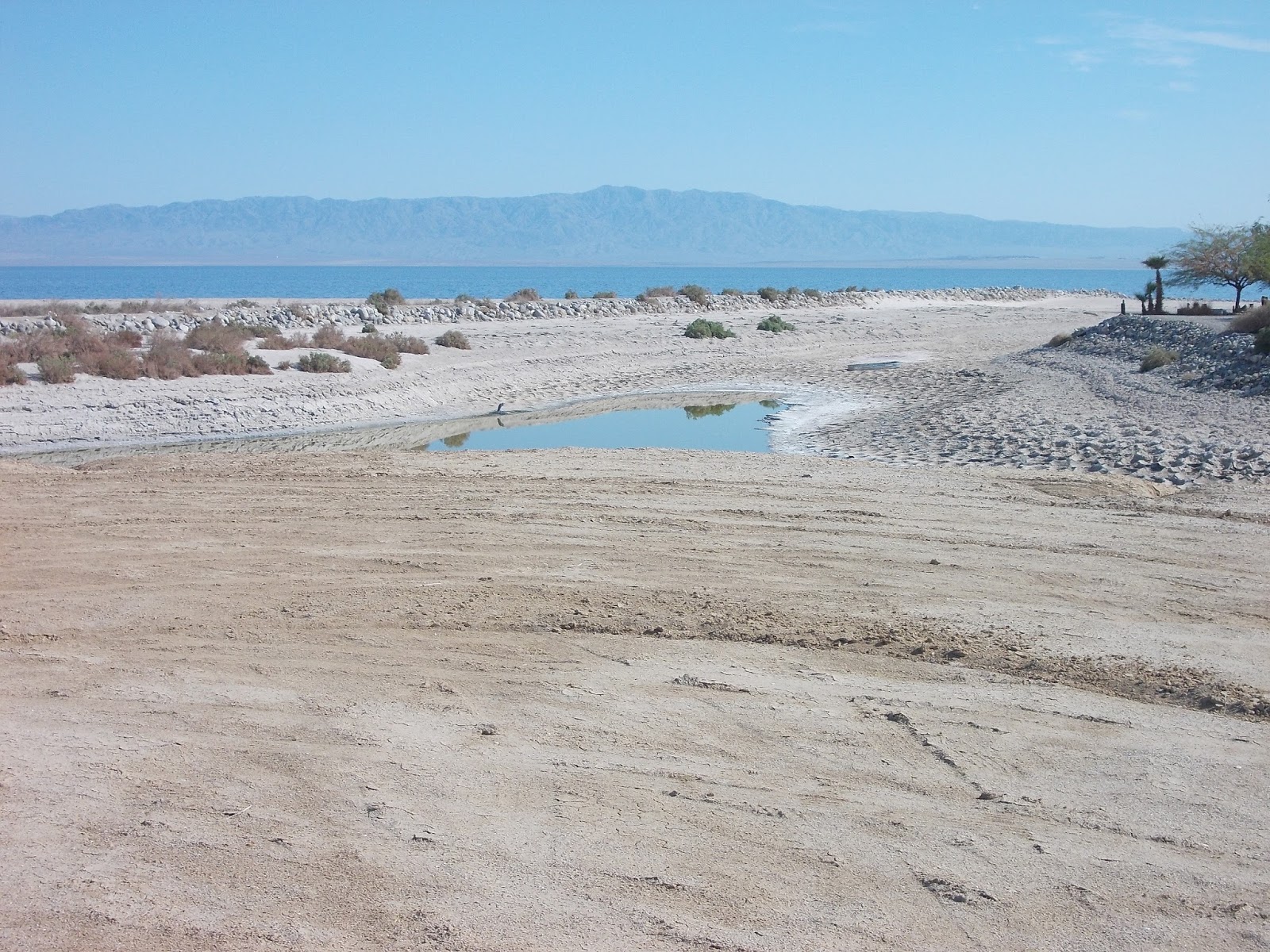 salton city ca diary how did the salton sea form