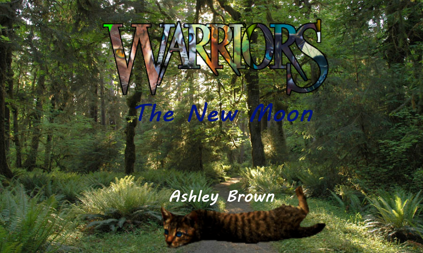 Warriors - The New Moon
