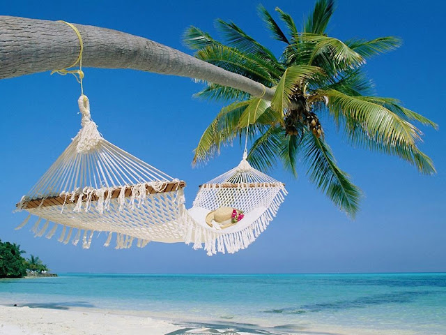 Когда и куда ехать отдыхать на пляже обзор пляжных мест | overview of beach beds Когда и куда ехать отдыхать на пляже обзор пляжных мест | overview of beach beds