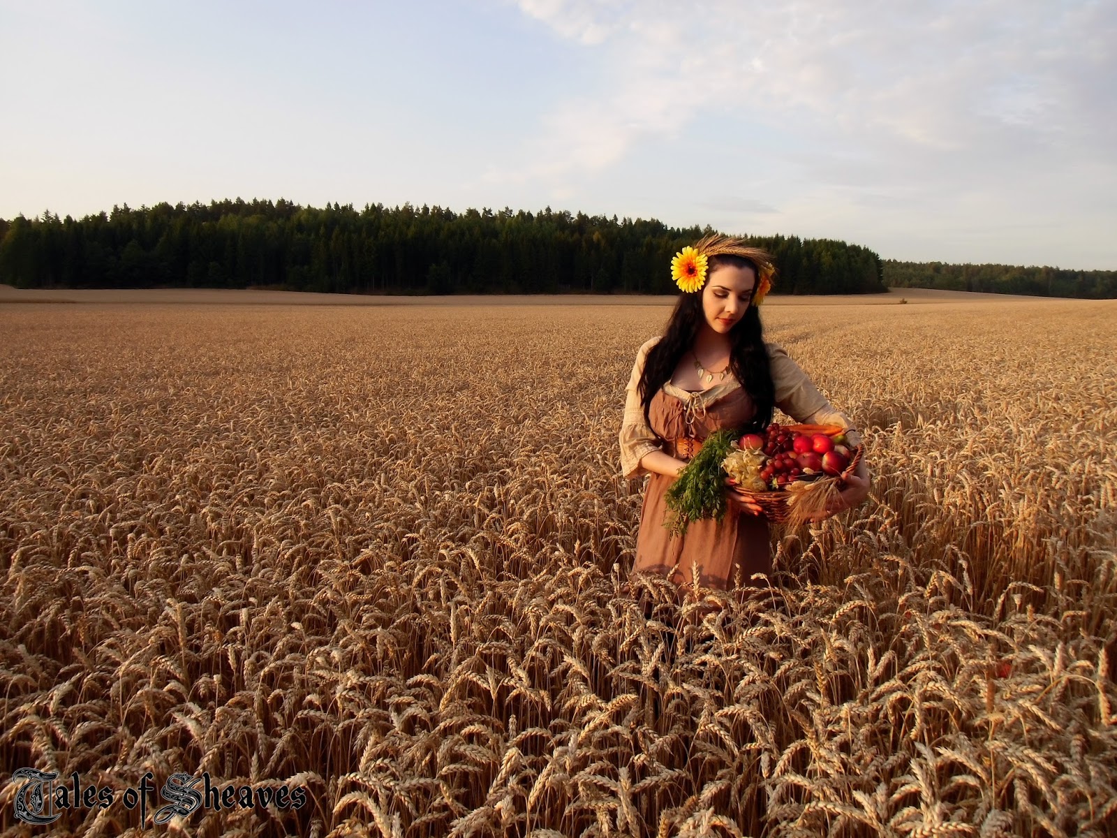 Tales of Sheaves We Are Sheaves