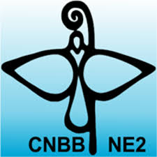 CNBB REGIONAL NE 2