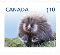 PRINT A STAMP CANADIAN POSTAGE