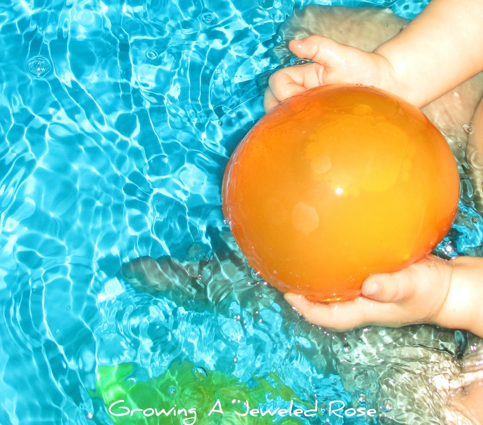 Turning Bath Time Into Party Time Growing A Jeweled Rose