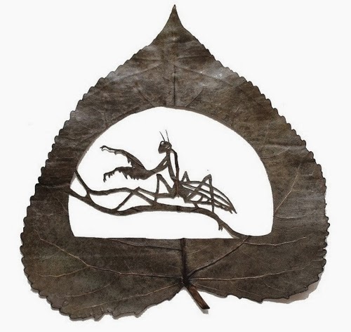 06-Animals-Cut-Leafs-Lorenzo-Manuel-Durán-Art-and-Nature-www-designstack-co