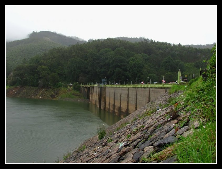 mattupetty dam munnar