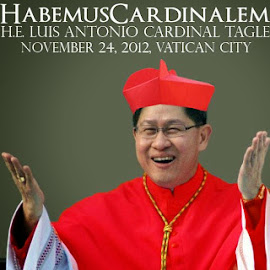 Cardinal Tagle Video Interviews