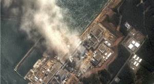Fukushima Operator