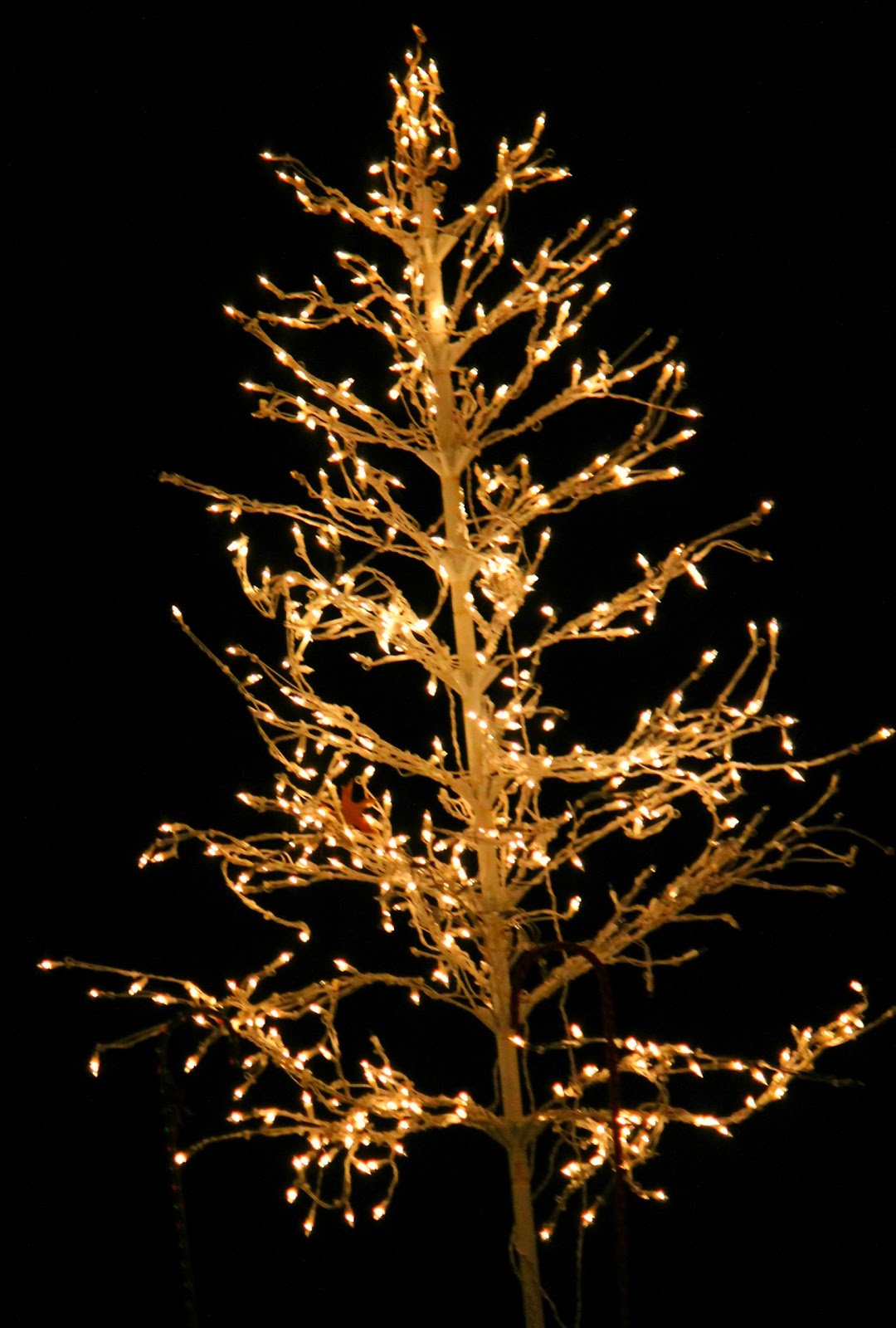 the story behind of our flying christmas tree loving the story behind of our flying christmas tree loving