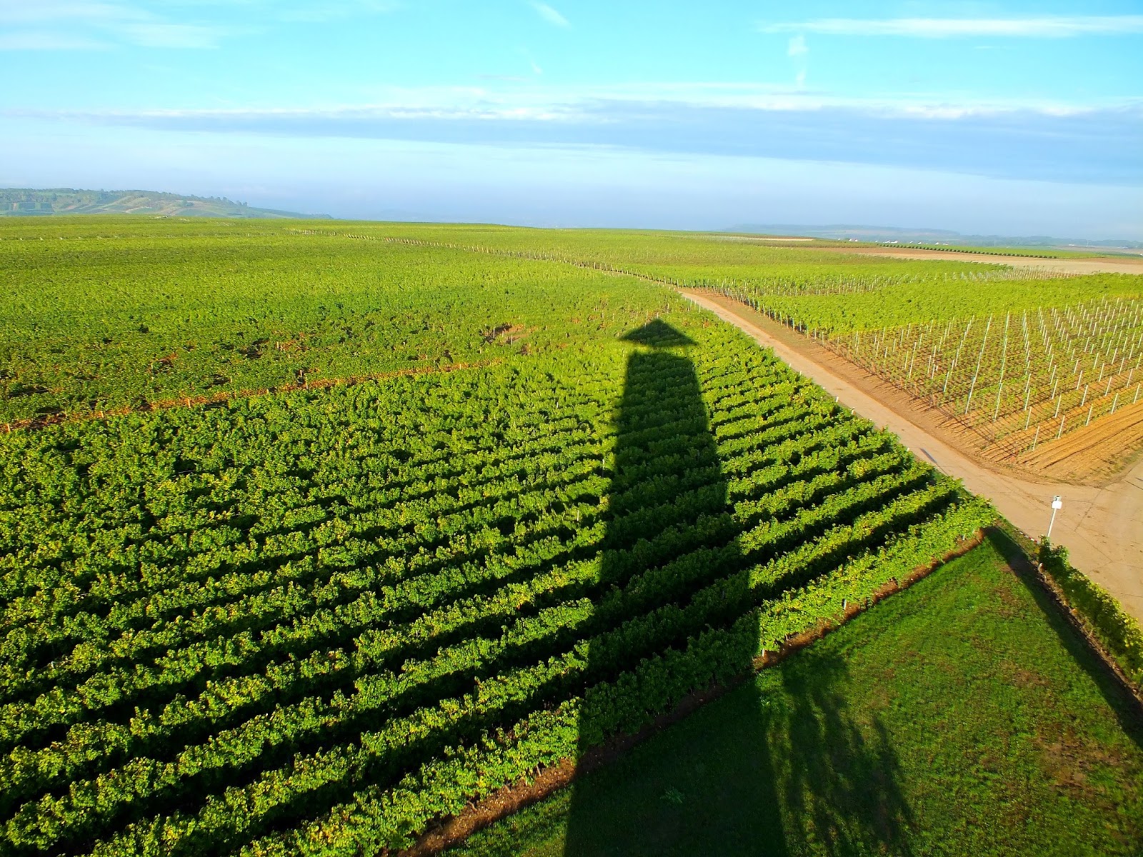 20 Weinhofefest Rund Um Die Burg Layen Grosser Weinprobiertag In