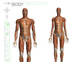 El cuerpo humano 3D