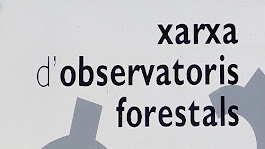 Xarxa d' observatoris forestals
