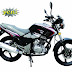 ARORA AR 200-11 TIGER MOTOSİKLET