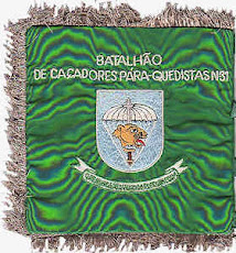 PRIMEIRO GUIÃO DO B.C.P. 31