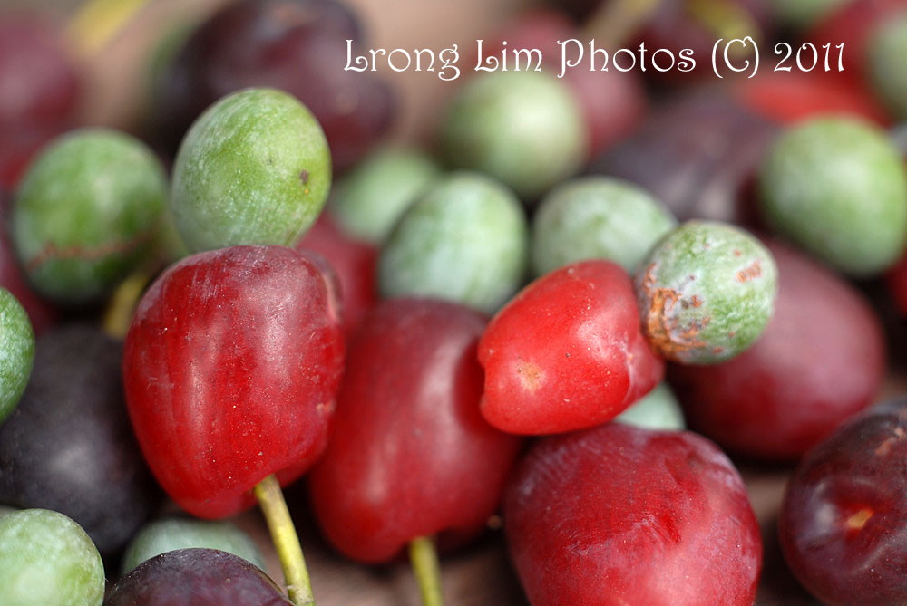 Potager Y Japan Berries from the Inumaki/Kusamaki tree...