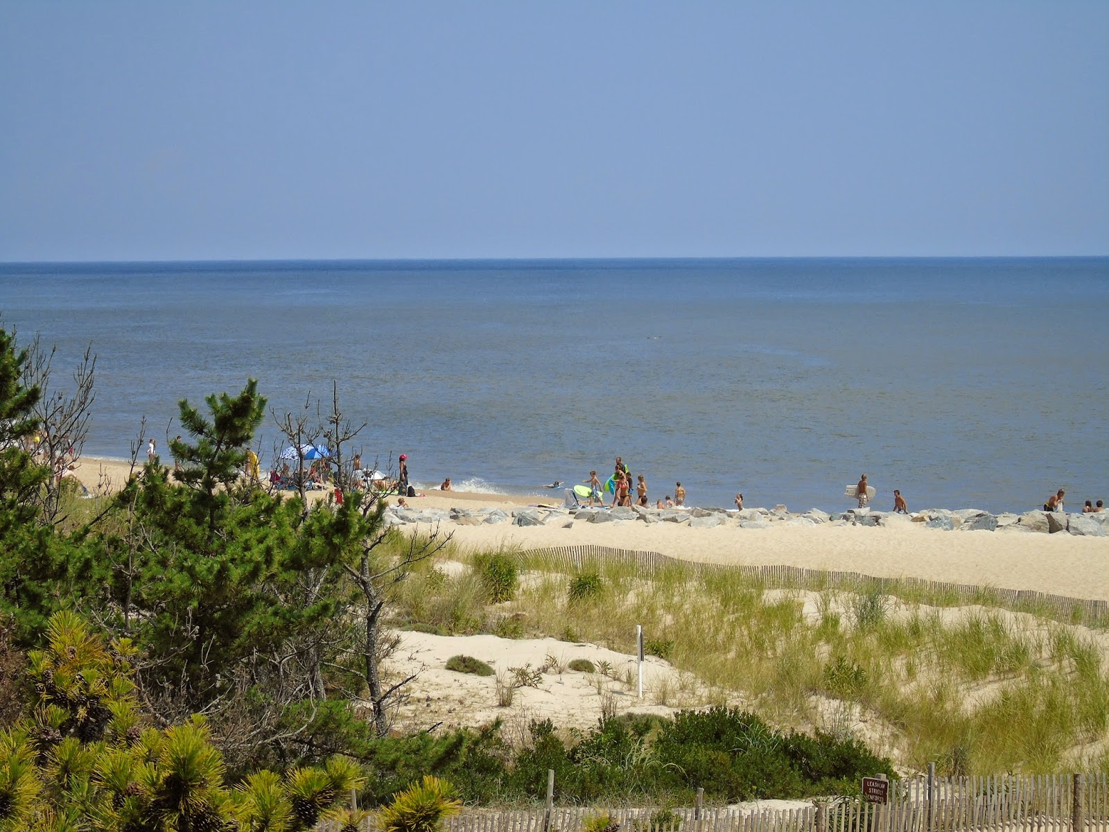 The Wine Sisters Book Club Herring Point at Cape Henlopen State Park