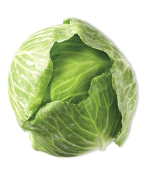 Cabbage