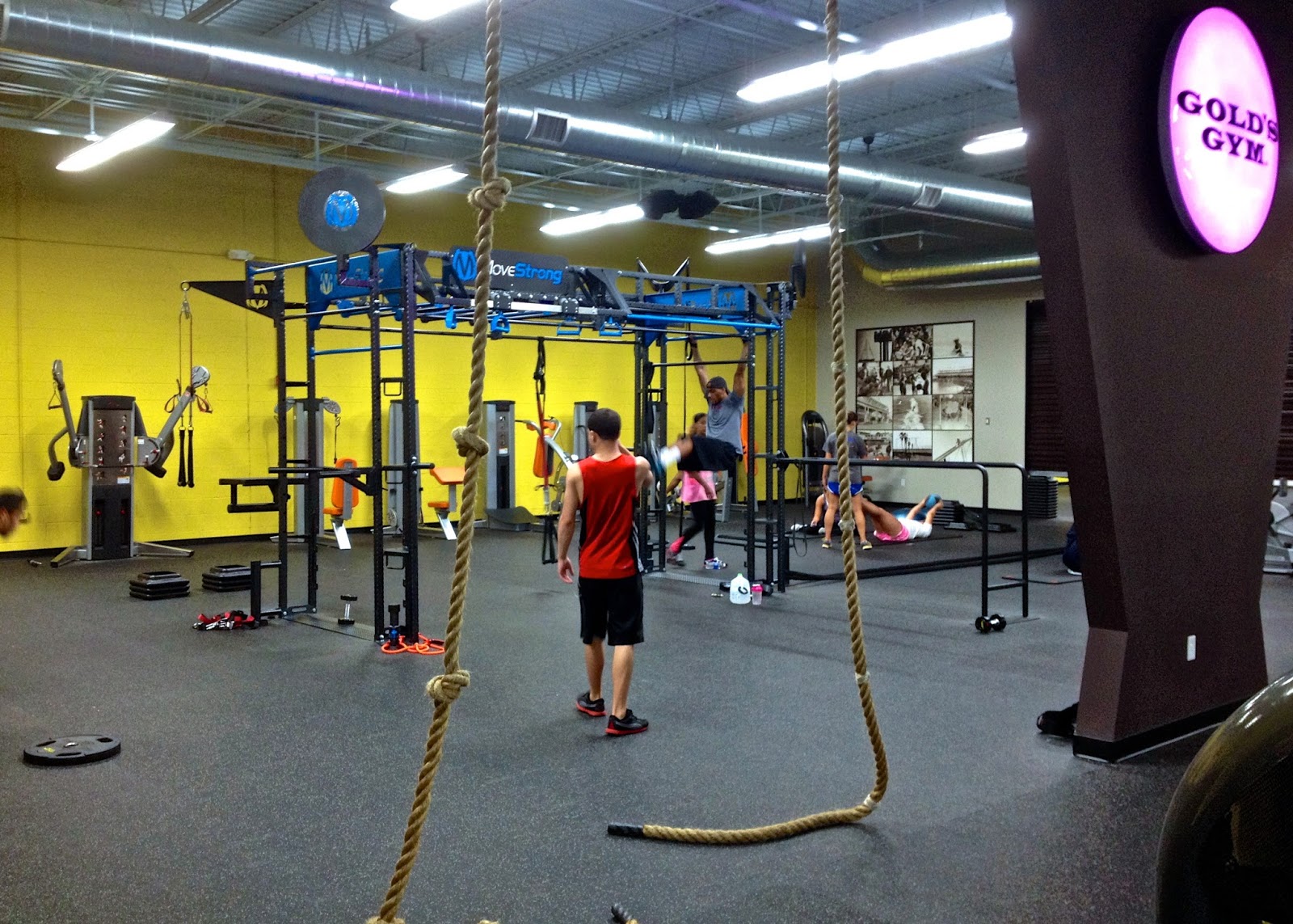 MoveStrong The latest in Functional Fitness Equipment Gold's Gym