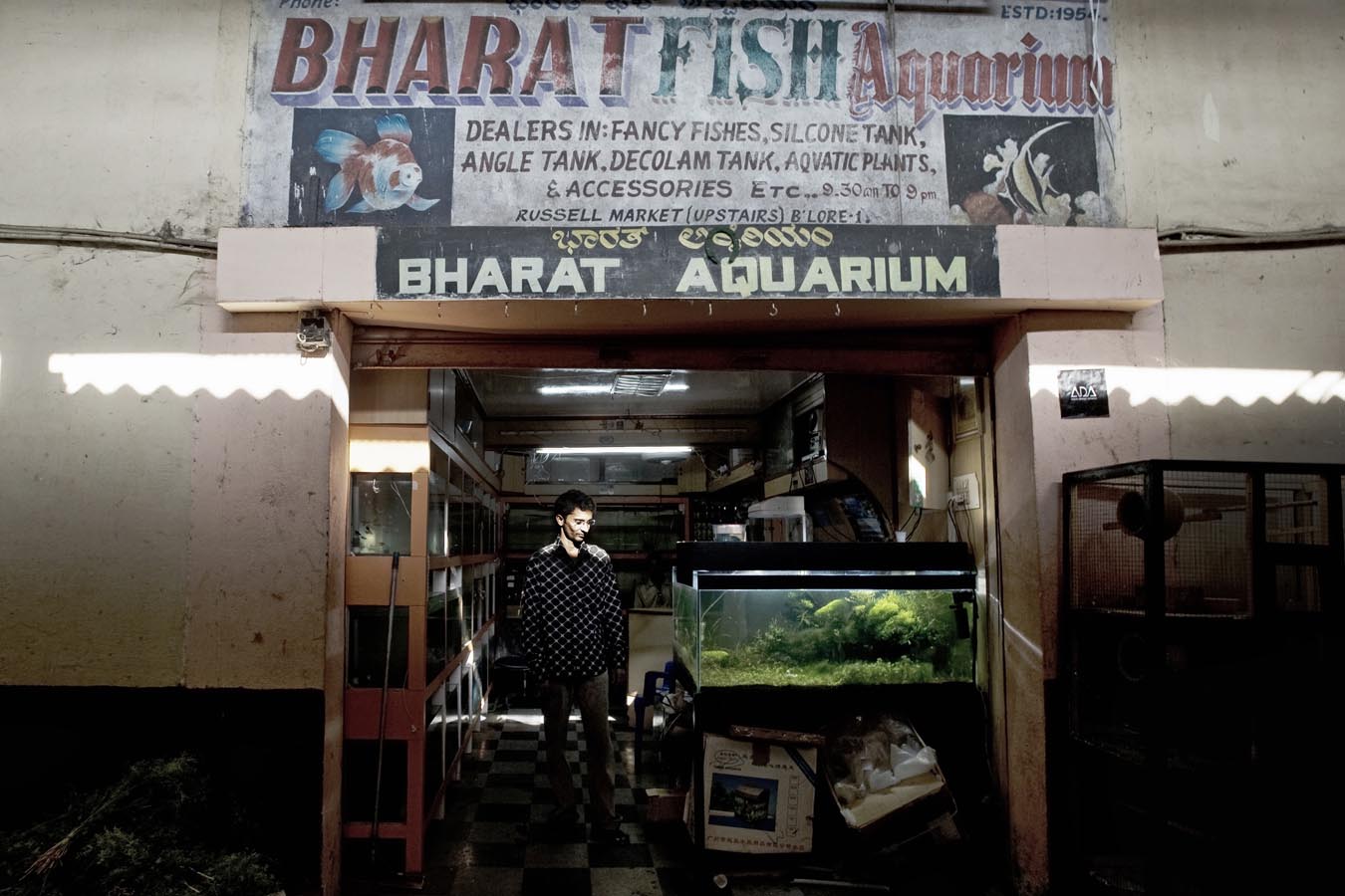 Ryan Lobo Photography And Writing India Urban 2 Abdul Raheem Tropical Fish Dealer In Bangalore The broad spectrum of wholesale fish available on the site are made from sturdy and durable materials that last for a long time underwater and can still look that much ravishing.