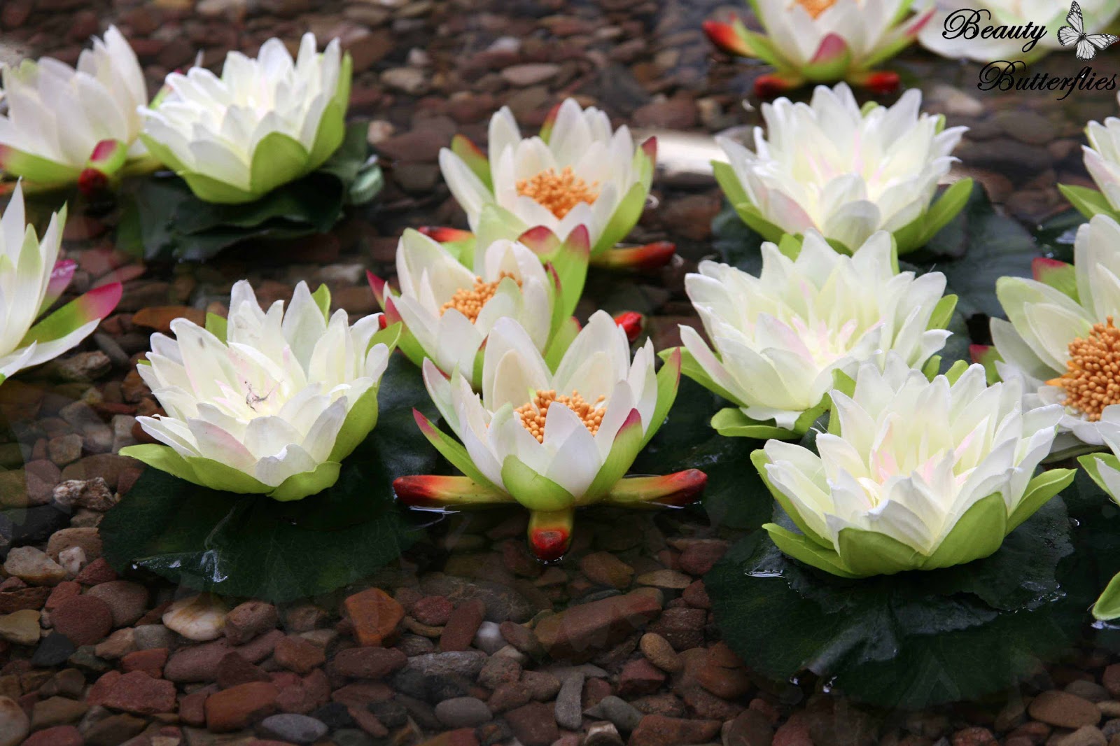 Sk Ua Md Eine Radtour Durch Osteuropa Archiv