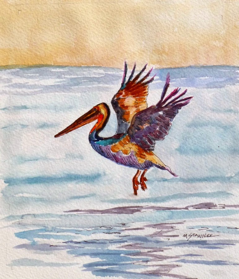 Nancy Standlee Fine Art Watercolor Beach Painting Pelican 13084